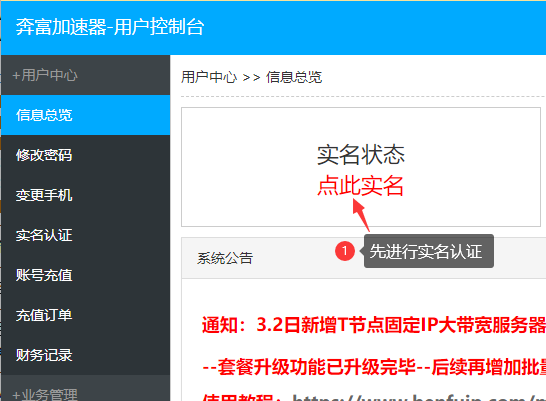 奔富IP实名认证