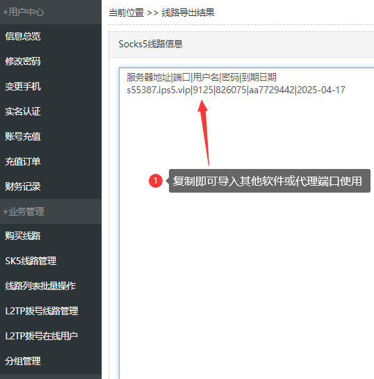 奔富SOCKS5代理IP配置教程 - 5分钟快速接入老鱼加速器指南